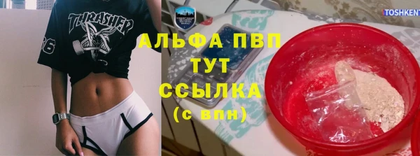 PSILOCYBIN Майский