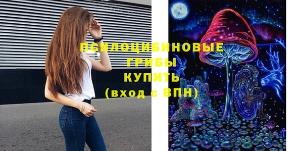 PSILOCYBIN Майский