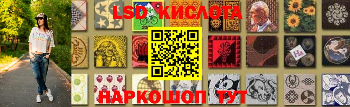 А ПВП Новодвинск