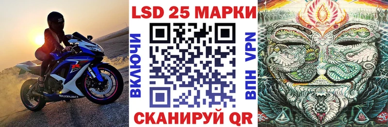 omg ONION  где купить   Новодвинск  Марки N-bome 1,8мг 