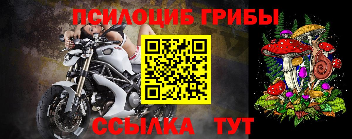 Галлюциногенные грибы прущие грибы  Псилоцибиновые грибы Psilocybine cubensis  Новодвинск  Вход с VPN 