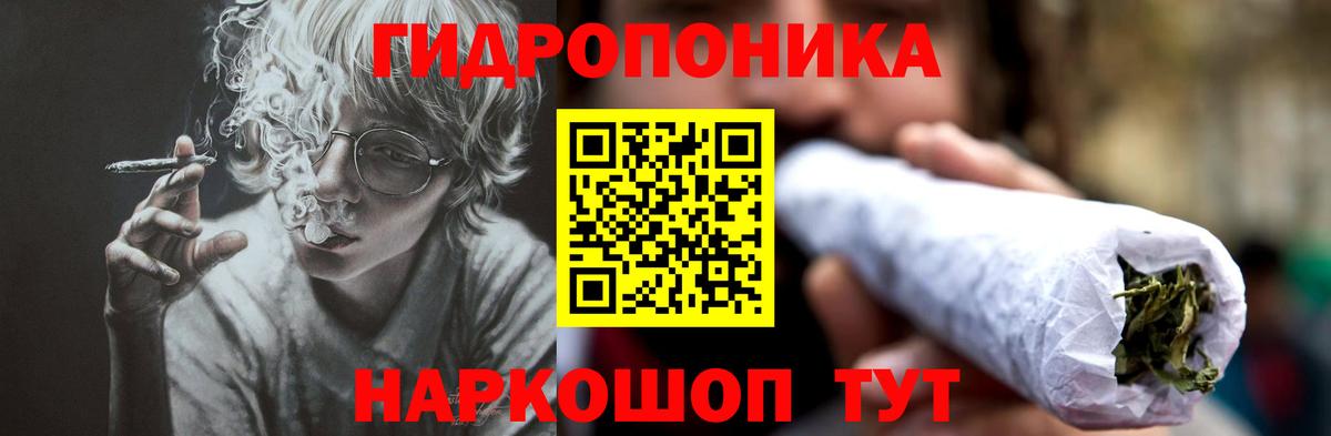 Конопля Ganja  Новодвинск  Бошки Шишки конопля  Марихуана SATIVA & INDICA 